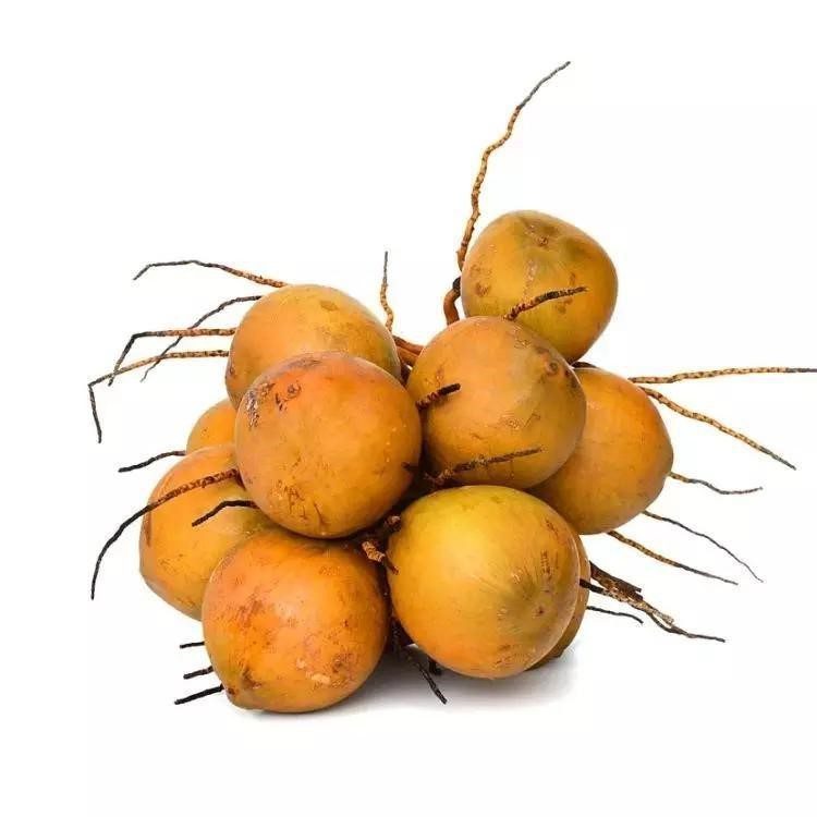 Sản phẩm dừa Vinaconut